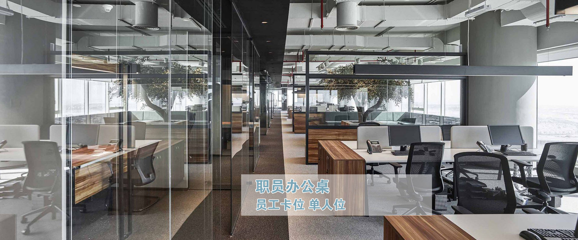 op䓹